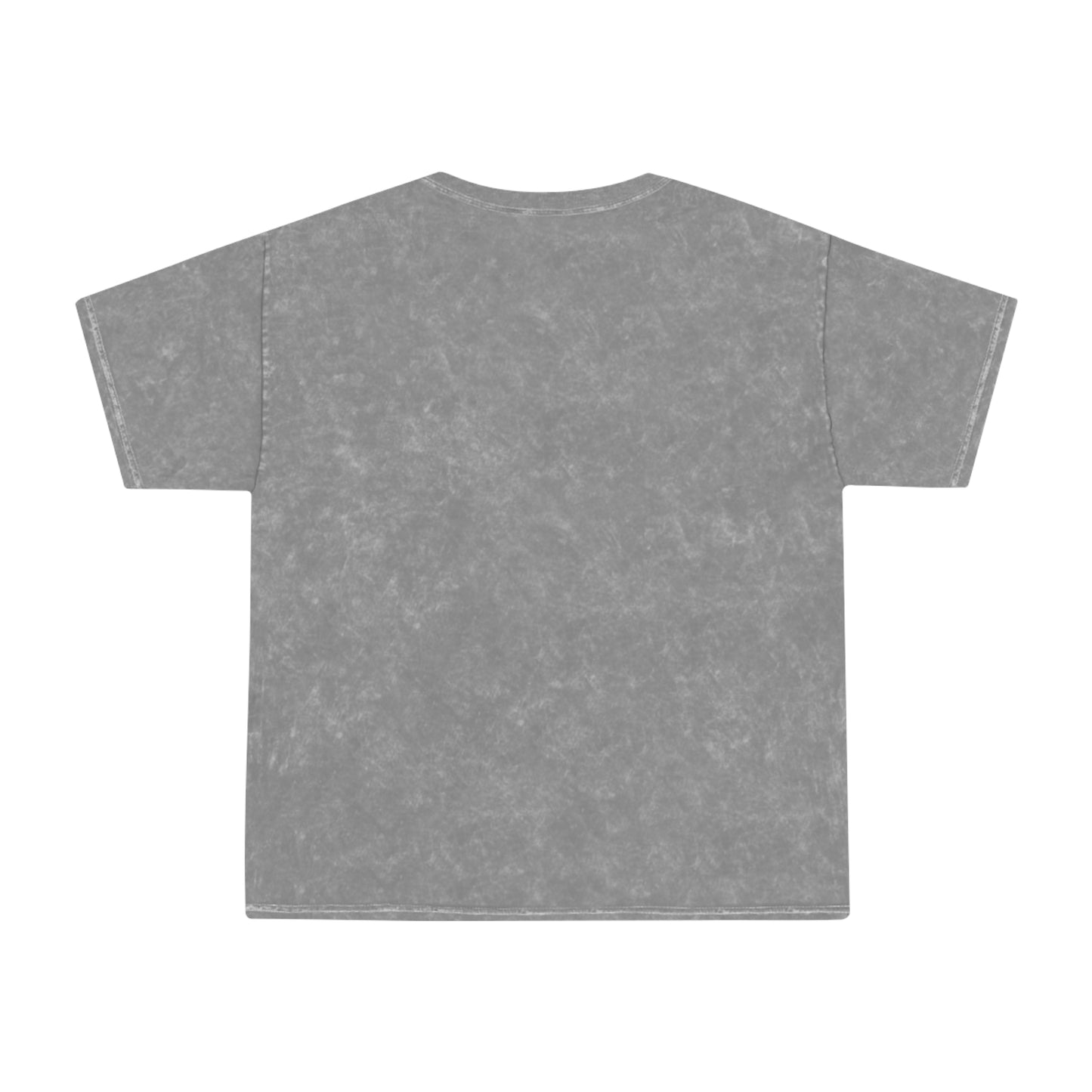 Master Wings Unisex Mineral Wash T-Shirt